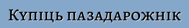 Купіць пазадарожнік