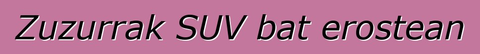 Zuzurrak SUV bat erostean