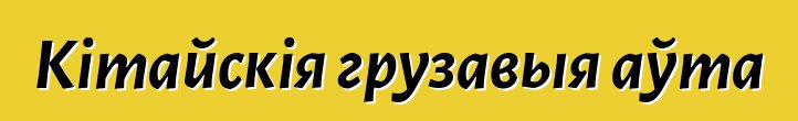 Кітайскія грузавыя аўта