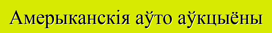 Амерыканскія аўто аўкцыёны