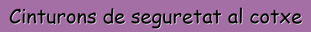 Cinturons de seguretat al cotxe