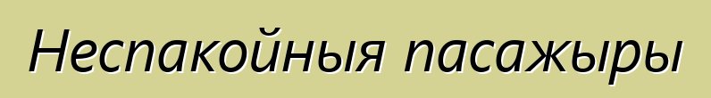 Неспакойныя пасажыры