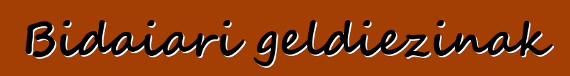 Bidaiari geldiezinak