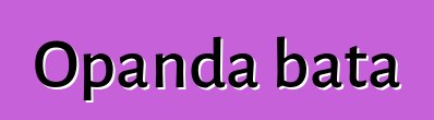 Opanda bata