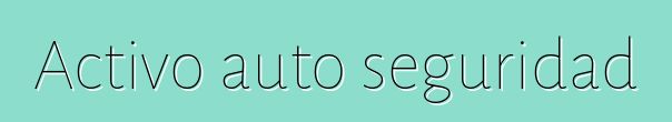Activo auto seguridad