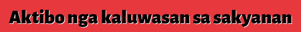 Aktibo nga kaluwasan sa sakyanan