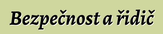 Bezpečnost a řidič