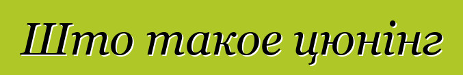 Што такое цюнінг