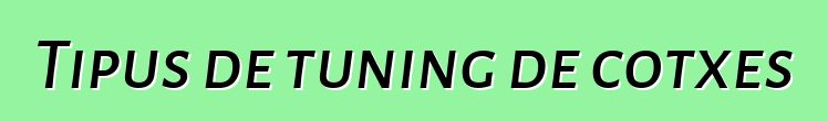 Tipus de tuning de cotxes