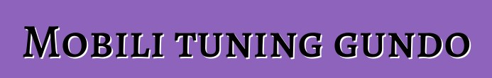 Mobili tuning gundo