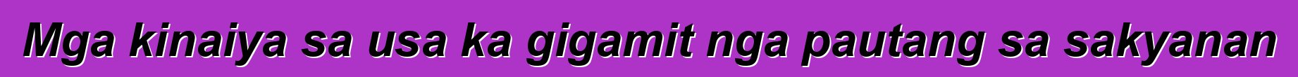 Mga kinaiya sa usa ka gigamit nga pautang sa sakyanan