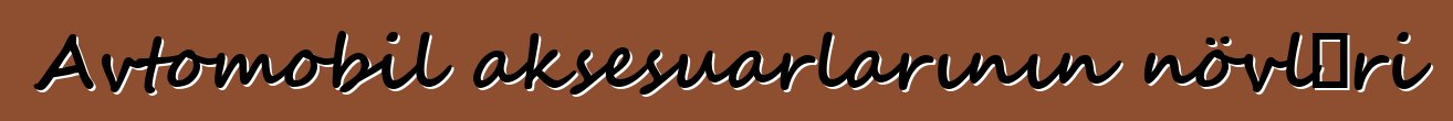 Avtomobil aksesuarlarının növləri