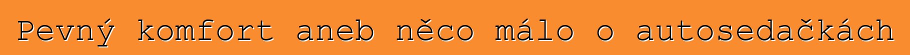 Pevný komfort aneb něco málo o autosedačkách