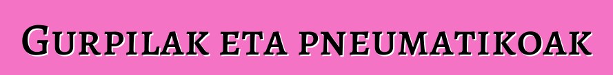 Gurpilak eta pneumatikoak