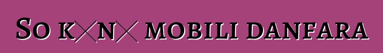 So kɔnɔ mobili danfara