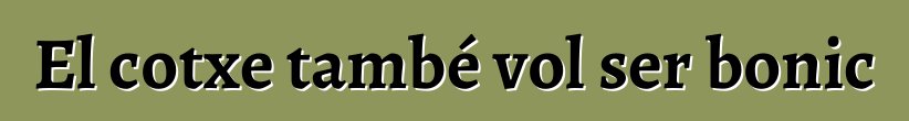 El cotxe també vol ser bonic