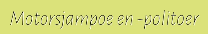 Motorsjampoe en -politoer