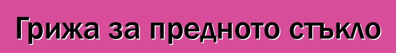 Грижа за предното стъкло