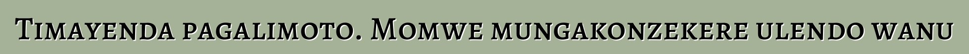 Timayenda pagalimoto. Momwe mungakonzekere ulendo wanu