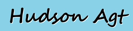 Hudson Agt