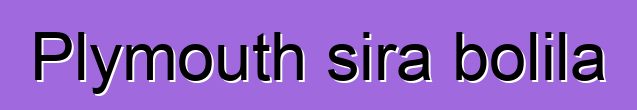 Plymouth sira bolila