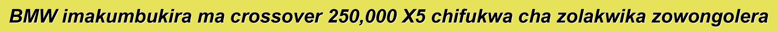 BMW imakumbukira ma crossover 250,000 X5 chifukwa cha zolakwika zowongolera