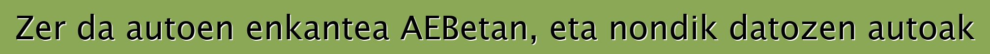 Zer da autoen enkantea AEBetan, eta nondik datozen autoak