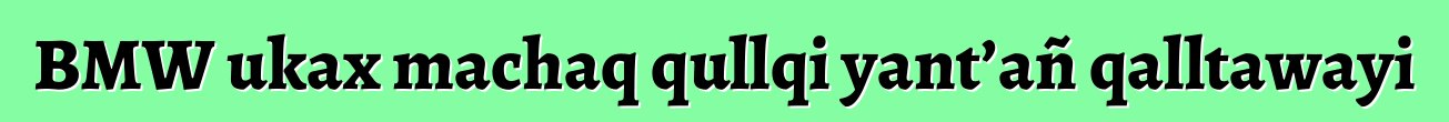 BMW ukax machaq qullqi yant’añ qalltawayi