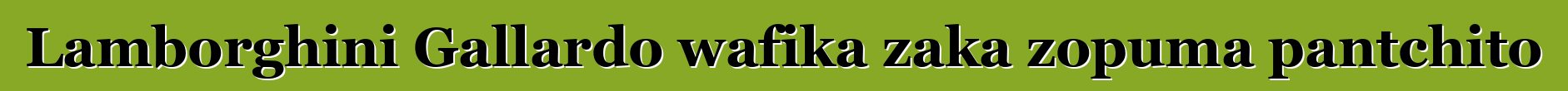 Lamborghini Gallardo wafika zaka zopuma pantchito