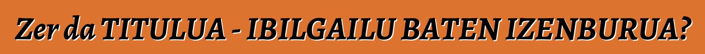 Zer da TITULUA - IBILGAILU BATEN IZENBURUA?