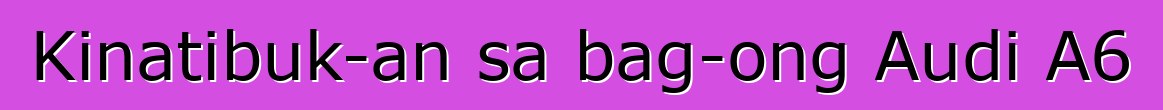 Kinatibuk-an sa bag-ong Audi A6