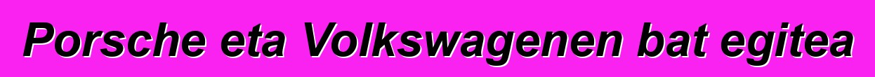 Porsche eta Volkswagenen bat egitea