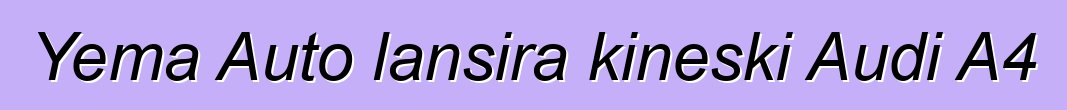 Yema Auto lansira kineski Audi A4