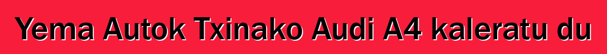 Yema Autok Txinako Audi A4 kaleratu du