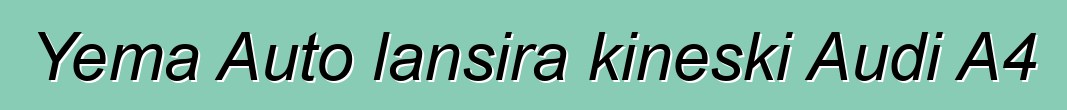 Yema Auto lansira kineski Audi A4