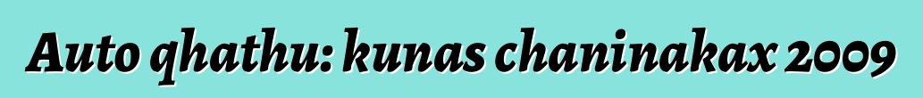 Auto qhathu: kunas chaninakax 2009