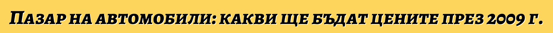 Пазар на автомобили: какви ще бъдат цените през 2009 г.