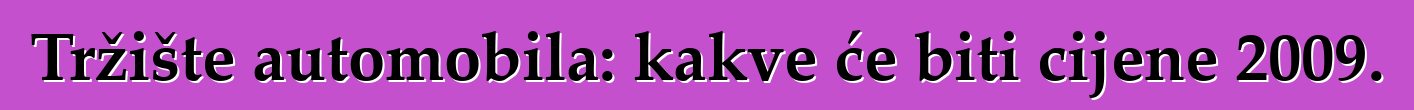 Tržište automobila: kakve će biti cijene 2009.