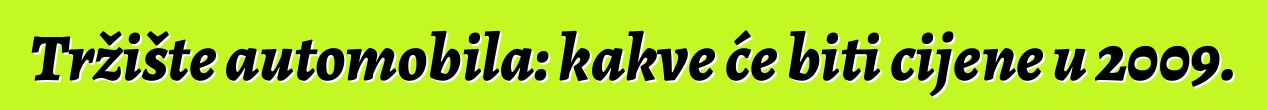 Tržište automobila: kakve će biti cijene u 2009.