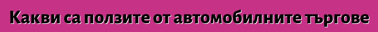 Какви са ползите от автомобилните търгове