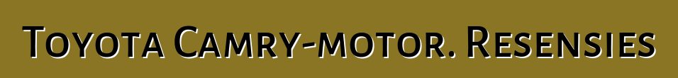 Toyota Camry-motor. Resensies