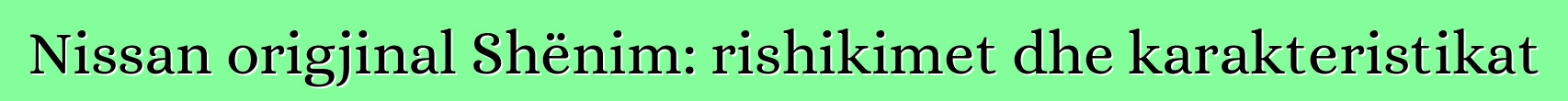 Nissan origjinal Shënim: rishikimet dhe karakteristikat