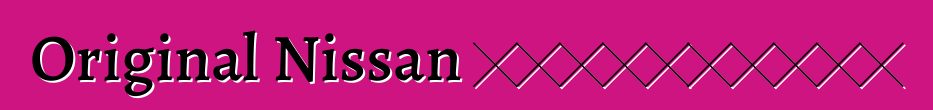 Original Nissan 注意事项：评论和特性