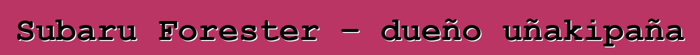Subaru Forester – dueño uñakipaña