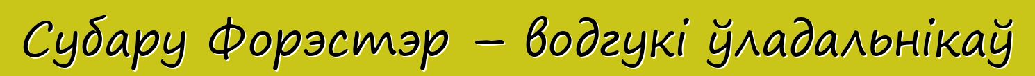Субару Форэстэр – водгукі ўладальнікаў