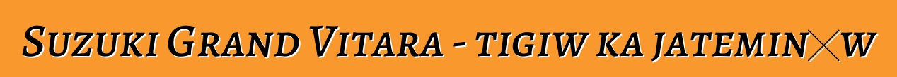 Suzuki Grand Vitara - tigiw ka jateminɛw