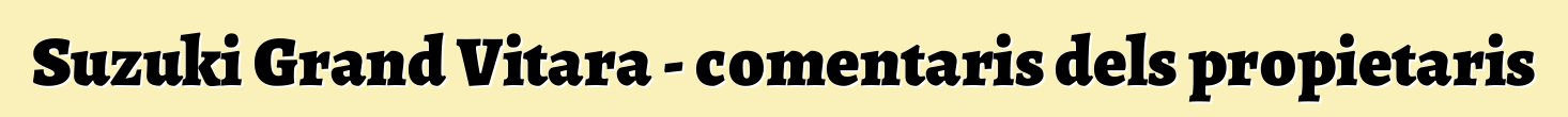 Suzuki Grand Vitara - comentaris dels propietaris
