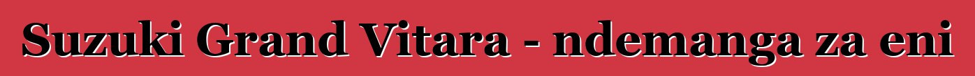Suzuki Grand Vitara - ndemanga za eni