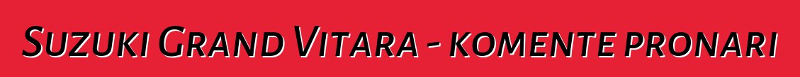 Suzuki Grand Vitara - komente pronari