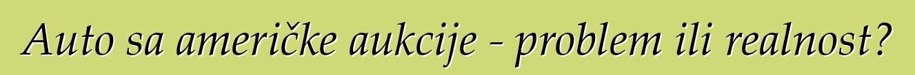 Auto sa američke aukcije - problem ili realnost?